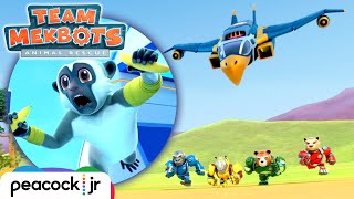 Who's Flying the Ship!? Monkey Mayhem! | TEAM MEKBOTS: ANIMAL RESCUE