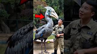 Sonidos De Las Aves Más ATERRADORES