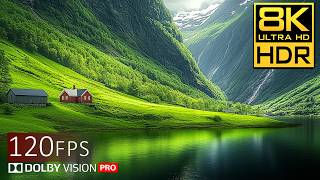 Visual Heaven | 8K OLED HDR Video in Dolby Vision™ (120FPS Ultra HD)