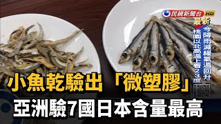 小魚乾驗出「微塑膠」 亞洲驗7國日本含量最高－民視台語新聞