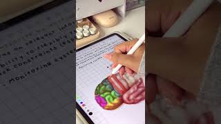 ✨🌷🤍 take aesthetic notes with me! #kilonotes #aesthetic #asmr #study #studymotivation #ipadapps
