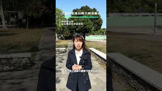 未來房市趨勢分析