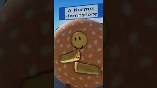 Average Female Roblox VC Experience