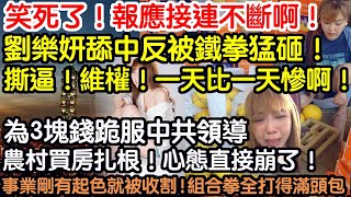 笑死了！報應接連不斷啊！劉樂妍舔中反被鐵拳猛砸！撕逼！維權！一天比一天慘啊！為3塊錢跪服中共領導！農村買房扎根！心態直接崩了！事業剛有起色就被收割！組合拳打得滿頭是包！