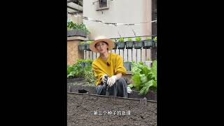 名探偵コナン 2025 vol 3525 | 名探偵コナンの最高の事件を集結する