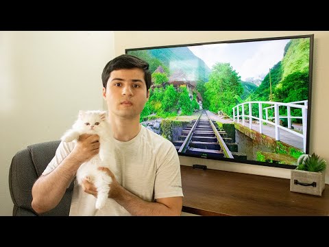 It's a Girl | Vlog #9