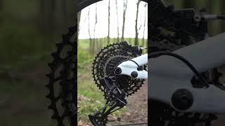🎉 New bike day! 🚴‍♀️ the Specialized Stumpjumper EVO Comp Alloy!  #Specialized #Stumpjumper #mtb