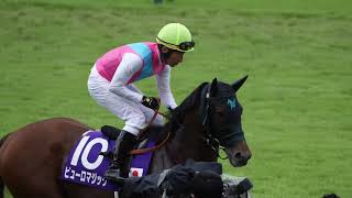 ピューロマジックの返し馬 2024年スプリンターズステークス