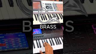 Brass Fantom 06