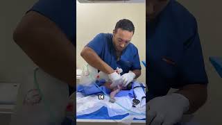 Doctor devuelve a la vida a un bebé nacido sin respirar ❤️