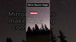 Mirror Neuron #subscribe #shorts  #motivation #pyscology #interestingpsychology
