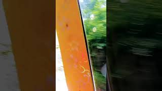 kuchh Tum bolo kuchh ham bole dholana