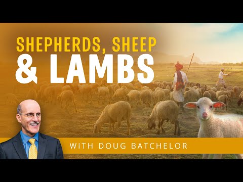 Shepherds, Sheep and Lambs | Doug Batchelor