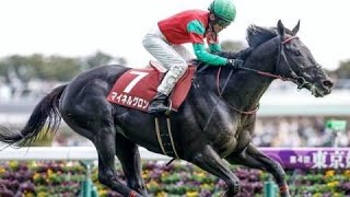 第25回　東京ハイジャンプ　マイネルグロン　牡5　60.0　石神深一　2023.10.15　出走馬：ホッコーメヴィウス、ニューツーリズム、ジューンベロシティ、フロールシュタット、イロゴトシ、サイード他
