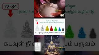 நாள் 8 - காவேரி அம்மன் ஆசீவகம் தமிழர் வழிபாட்டு திருவிழா #tamil #தமிழ் #news #hindu #science #india
