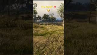 Call of the wild HUNTER INSANE HUNTING GAME ( server )!  #hunting #reddeer #gaming