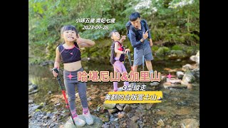 【台灣富士山-加里山】一日哈加縱走丨哈勘尼山&最美小百岳加里山丨鹿場登山口丨最刺激有趣的冒險旅程丨苗栗南庄風美溪丨夢幻森林步道丨五歲七歲小孩爬山趣