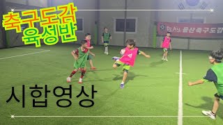 축구도감 육성반 시합영상(고릴라코치)