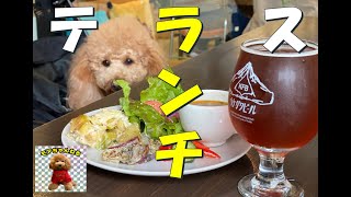 テラスでランチ