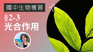 國中生物|CH2-3 光合作用，配合7上自然 3-3光與光合作用 (附cc字幕)