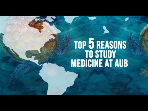 Top 5 Reasons To Study Medicine - American University of Barbados