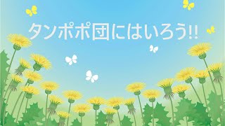 タンポポ団にはいろう!!／おかあさんといっしょ