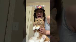 he’s so chonky. #dance #love #blowup #shortspage #shorts #cat