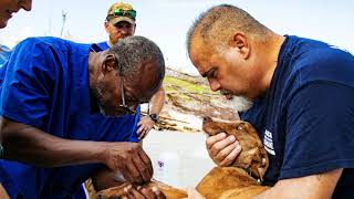 The new Veterinary Mobile Clinic in Abaco