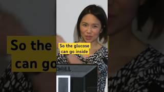 Insulin and Energy #shorts #insulin #glucose #energy #health