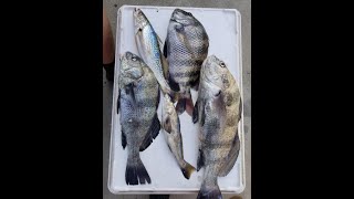 Secret Charleston Nearshore Fishing Spot Exposed