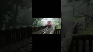 【台湾　阿里山森林鉄路】