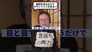 Just "looking" at animals releases oxytocin!? [Psychiatrist Shion Kabasawa] #shorts #happinesssub...
