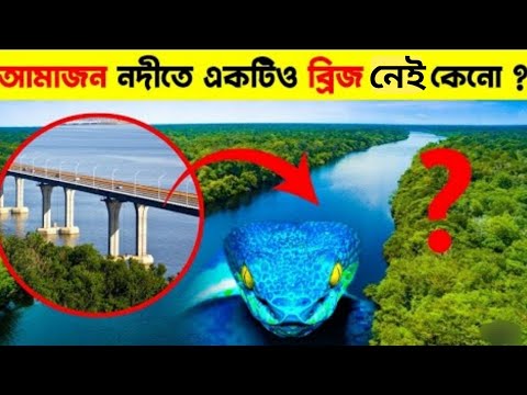 অ্যামাজন নদীতে ব্রিজ বানানো এত কঠিন কেনো ? Why There Are No Bridges on Amazon ? Part -II