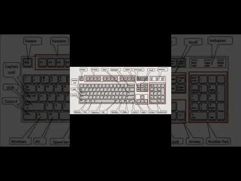 keyboard names in tamil #shortvideo #coding #tamil #python #cs #keyboard #java #html