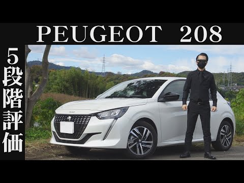 【オーナー 閲覧注意】プジョー 208　正直レビュー