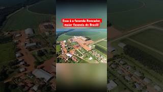 CONHEÇA A FAZENDA RONCADOR, A MAIOR FAZENDA DO BRASIL?