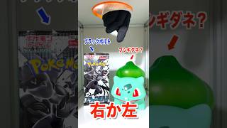 【右左どっち】🐸フシギダネ？orブラックボルト💣ポケカ女子が選んだパック開封してみた！#ポケカ #ポケカだいすきクラブ #ポケカ開封