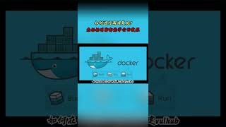 NINJA OMEGA SEC  |  如何进行漏洞复现？老奶奶用脚都能学会的教程 #黑客 #网络安全 #渗透测试