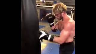 Logan Paul Training For Floyd Mayweather On 6 JUNE...