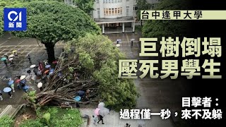 台中逢甲大學樹木倒塌壓死男學生 目擊者：過程僅一秒，來不及躲｜01新聞｜台灣新聞｜台中｜逢甲大學
