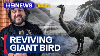 One of the world's tallest flightless birds could be brought back from extinction | 9 News Australia
