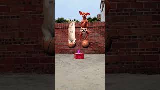 rebirth dance remix dog #taisinhremix #tungduong #huypt #taisinh #memix #cute #funny #dog