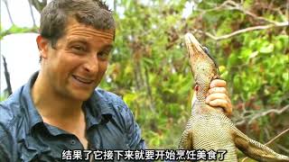 #荒野求生 #野外生活纪录片 #户外探险 #野外生存 #贝爷