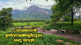 A journey through the villages of Palakkad | Palakkad Village Tour