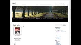 How to Sell Digital Download From Your WordPress Blog