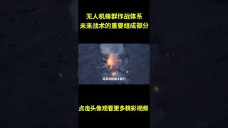 铺天盖地无法拦截，无人机的蜂群作战体系，未来战术的重要组成部分，甚至能对航母造成威胁！#综艺 #解说 #解說