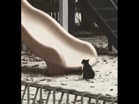 Playing slide