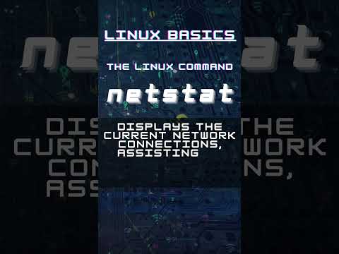 Basic Linux Command - netstat