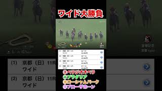 【競馬】馬券勝負！ワイド100,000円買ってみた！#競馬 #競馬予想 #宝塚記念