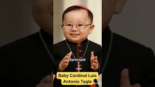 Baby Cardinal Luis Antonio Tagle Our Language is Far from Human Words